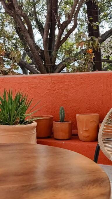 Casa Del Desierto Villa Guadalajara Bagian luar foto